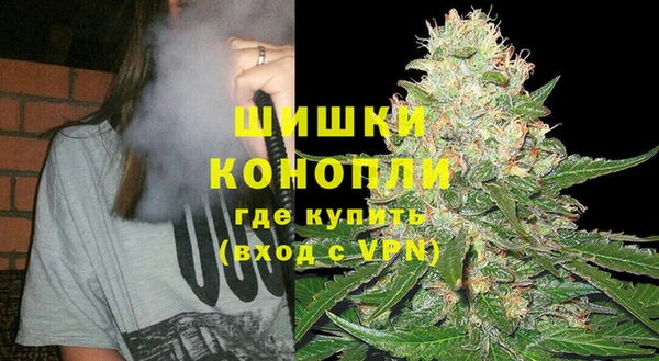 МДПВ Новозыбков